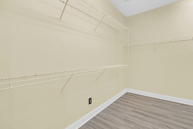 walk in closet with wood-type flooring