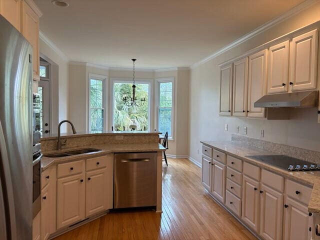 kitchen featuring a sink, light wood-style floors, stainless steel appliances, under cabinet range hood, and ornamental molding