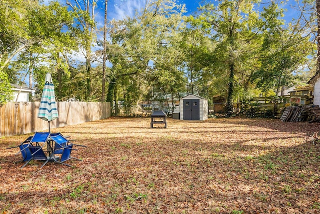 view of yard featuring a shed