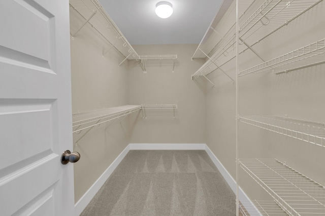 1304 Lieben Rd, Mount Pleasant, SC 29466 - spacious closet with carpet