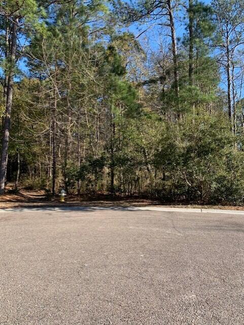 1008 Poconos Ct, Summerville SC, 29483 land for sale