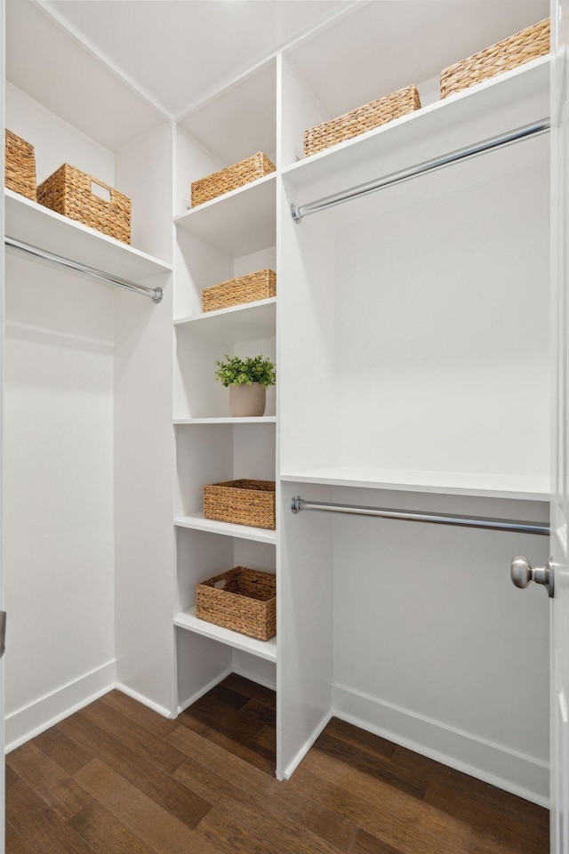 walk in closet featuring dark hardwood / wood-style flooring