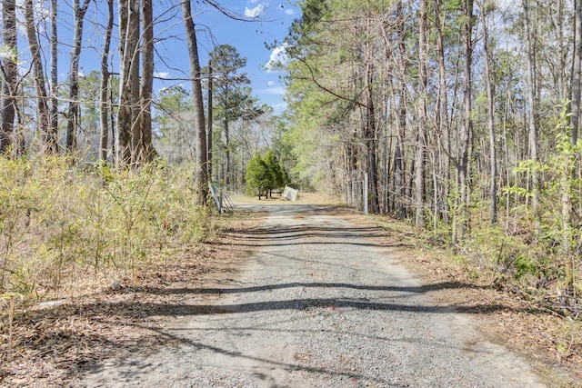 view of street with a view of trees