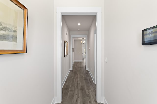 hallway featuring dark hardwood / wood-style flooring