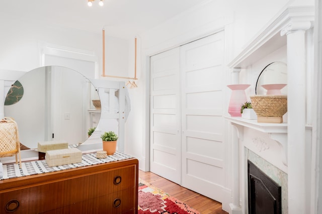 interior space featuring light hardwood / wood-style floors and a closet