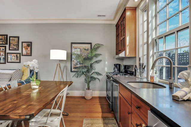 kitchen featuring crown molding, sink, dark wood-type flooring, and appliances with stainless steel finishes