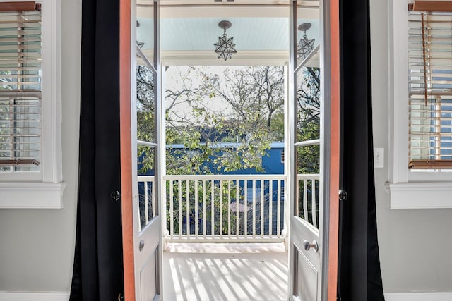 doorway featuring a wealth of natural light