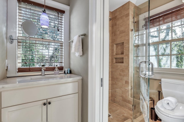 bathroom with vanity, toilet, and an enclosed shower