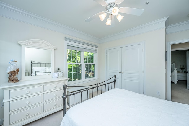 carpeted bedroom featuring a ceiling fan, a closet, and crown molding