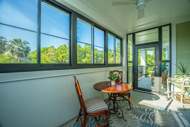 sunroom featuring a ceiling fan and carpet