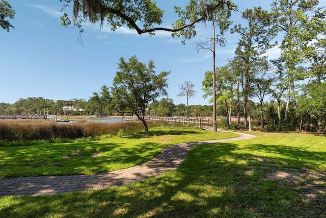 3508 Henrietta Hartford Rd, Mount Pleasant, SC 29466 - view of green lawn featuring a water view