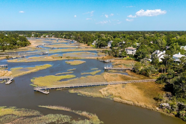 3508 Henrietta Hartford Rd, Mount Pleasant, SC 29466 - aerial view of a nearby body of water