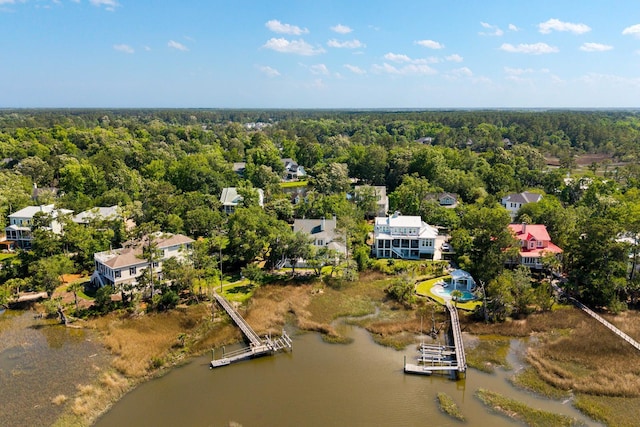 3508 Henrietta Hartford Rd, Mount Pleasant, SC 29466 - aerial view of a nearby body of water and a heavily wooded area