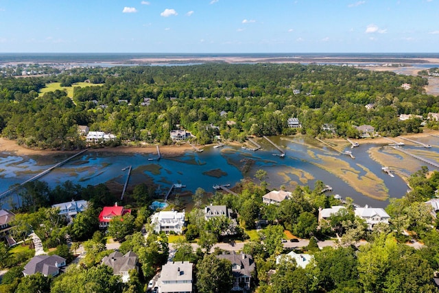 3508 Henrietta Hartford Rd, Mount Pleasant, SC 29466 - aerial view of a nearby body of water and a forest