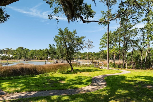 3508 Henrietta Hartford Rd, Mount Pleasant, SC 29466 - view of property's community featuring a water view and a yard