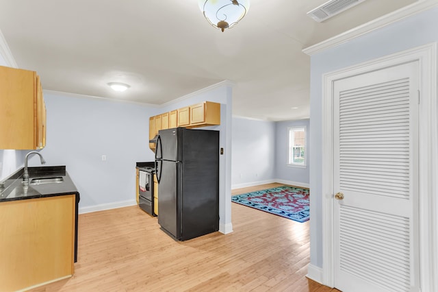 21 Rivers Point Row Unit 17G, Charleston, SC 29412 - kitchen featuring freestanding refrigerator, a sink, range, light wood-style floors, and baseboards