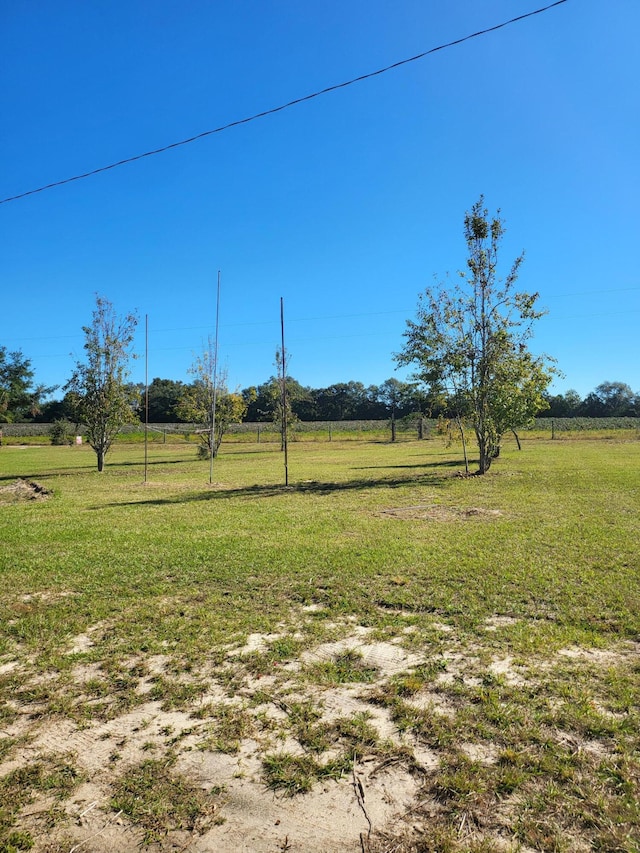 view of yard featuring a rural view