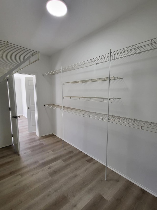 spacious closet with hardwood / wood-style flooring