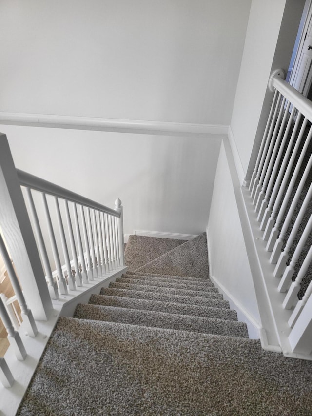 stairs featuring carpet floors