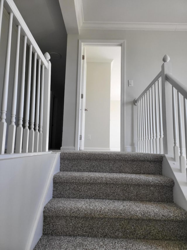 stairway with crown molding and carpet floors