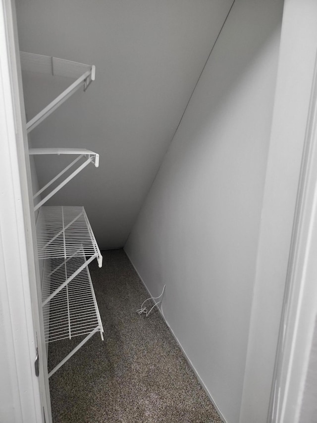 walk in closet featuring carpet floors