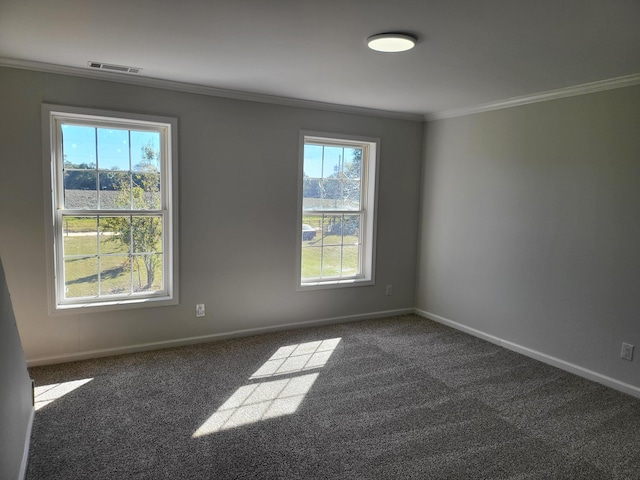 carpeted empty room featuring ornamental molding