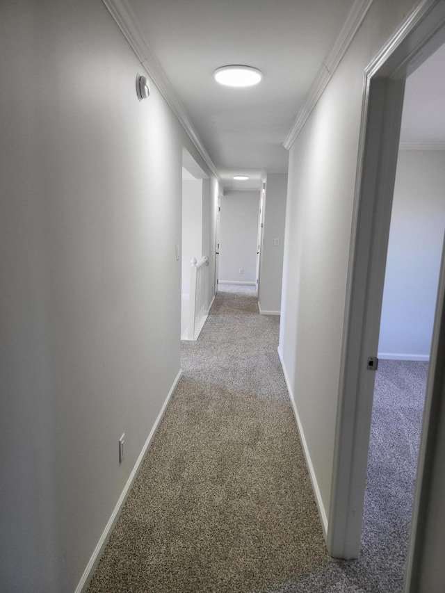 hallway featuring ornamental molding and carpet floors