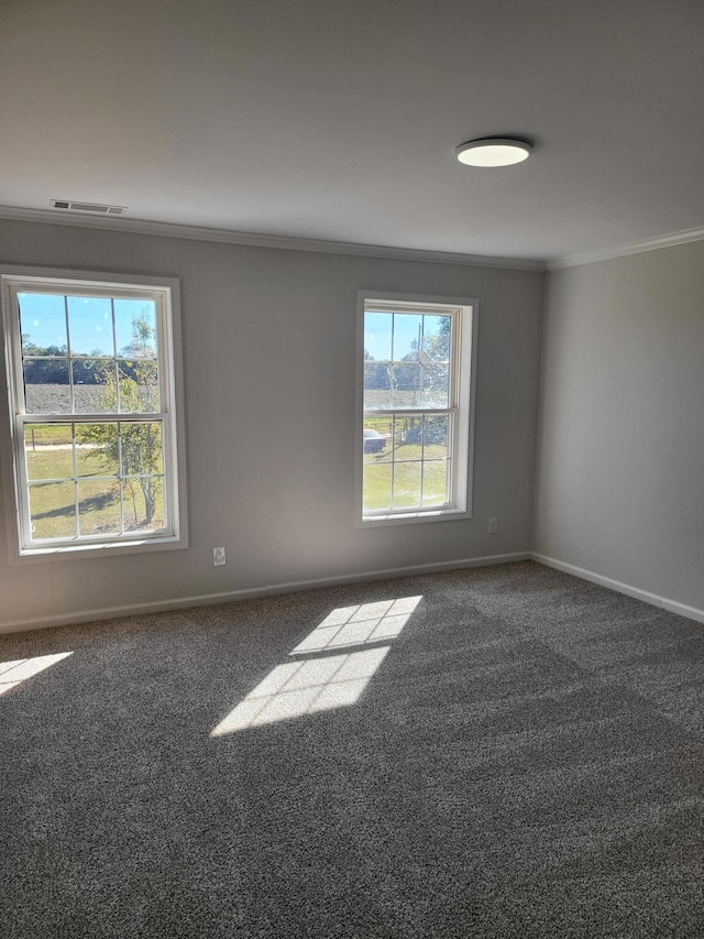 carpeted empty room with a wealth of natural light and crown molding