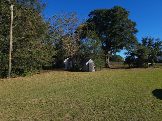 view of yard with a storage shed