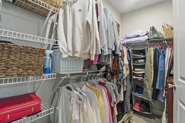 walk in closet with carpet floors