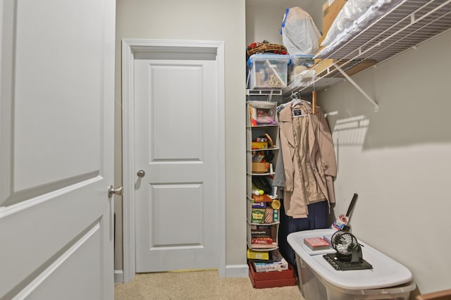 view of spacious closet