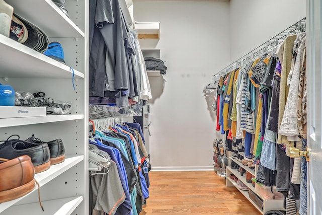 6179 Fieldstone Cir, Charleston, SC 29414 - spacious closet with light wood-type flooring