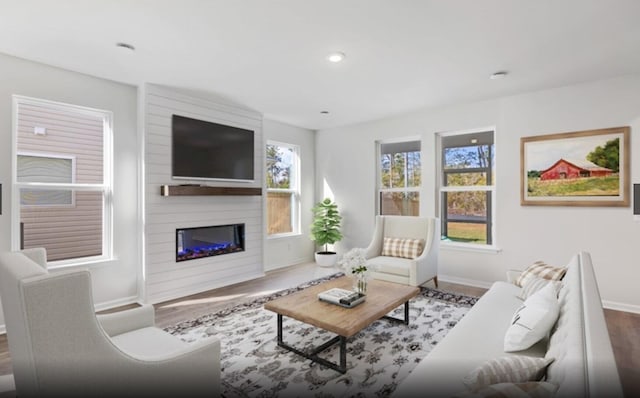 living room featuring a fireplace and dark hardwood / wood-style floors