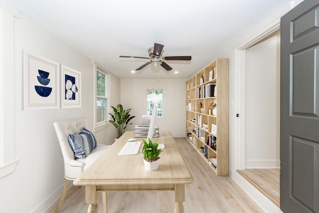 dining room with light hardwood / wood-style floors and ceiling fan