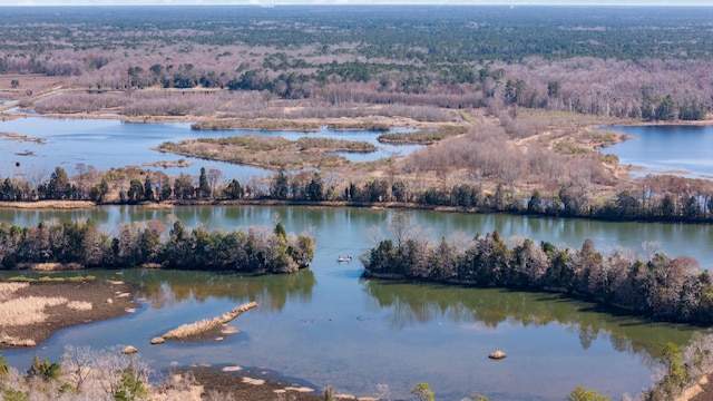 drone / aerial view with a water view and a forest view