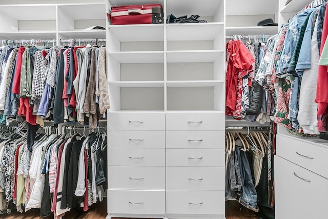 view of spacious closet