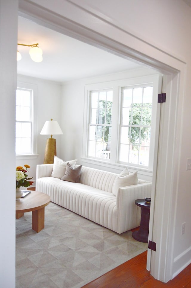 living room featuring wood finished floors