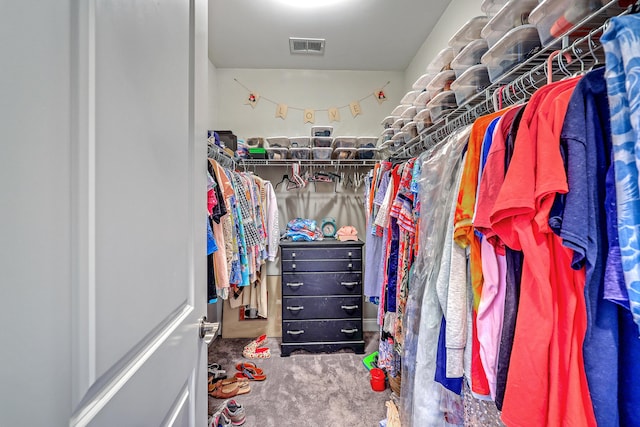 walk in closet with visible vents and carpet flooring