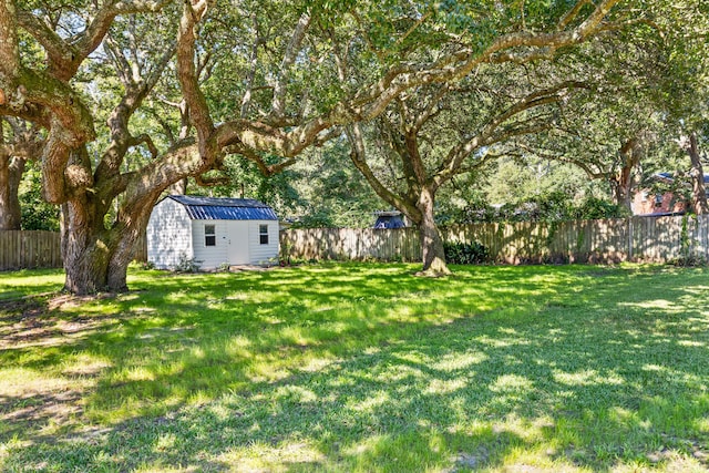 view of yard with a storage shed