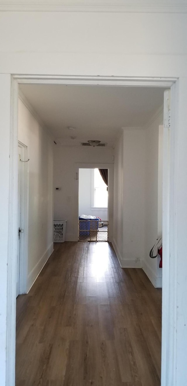 hall featuring dark wood-type flooring