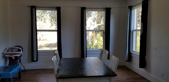 dining space featuring hardwood / wood-style flooring