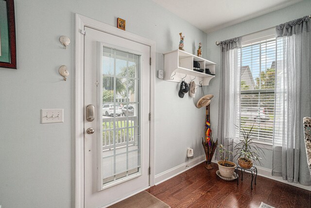 entryway featuring dark wood-type flooring