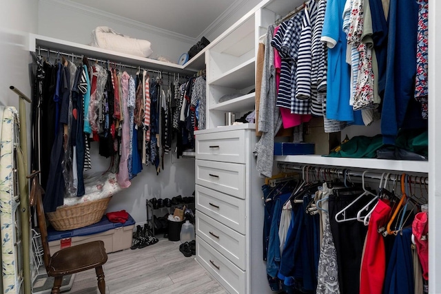spacious closet with wood finished floors
