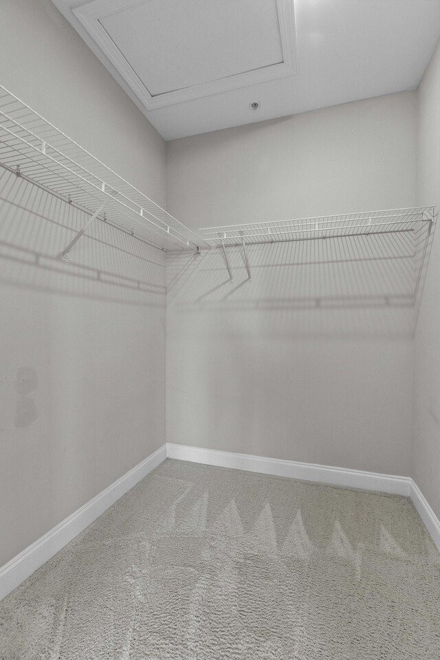 walk in closet with carpet