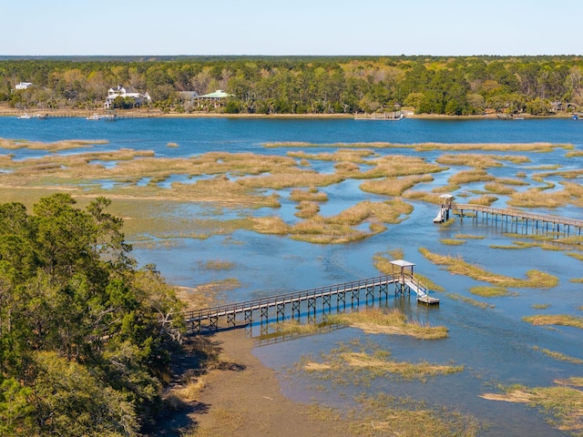 3858 Sawyers Island Dr, Mount Pleasant, SC 29466 - view of water feature featuring a forest view
