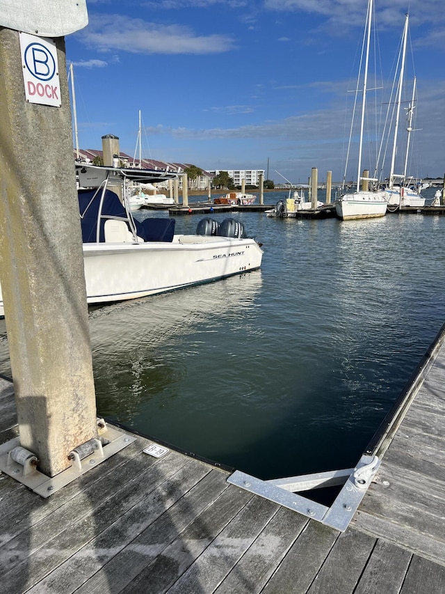 dock area with a water view