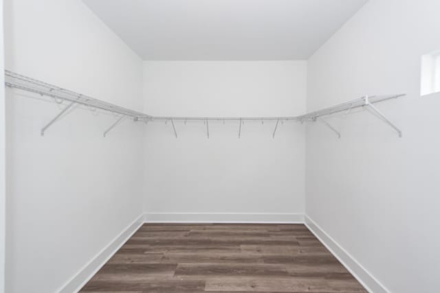 walk in closet with dark wood-type flooring