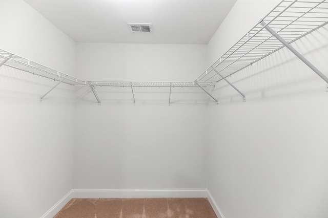 158 Netherfield Dr, Summerville, SC 29486 - walk in closet with light colored carpet