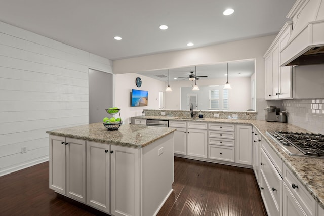 1870 Gammon St, Charleston, SC 29414 - kitchen featuring stainless steel appliances, a sink, ceiling fan, dark wood finished floors, and recessed lighting