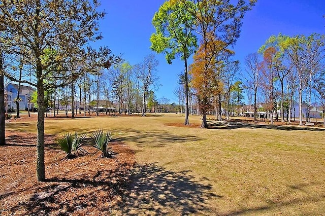 1870 Gammon St, Charleston, SC 29414 - view of home's community